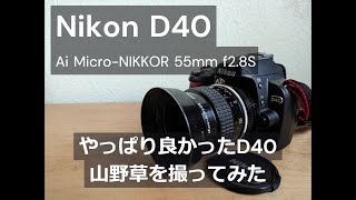 Nikon D40｜Ai MicroNIKKOR 55mm f28S｜山野草を撮ってみた [upl. by Morel119]