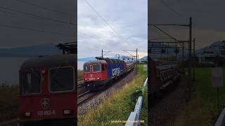 SBB Güterzug bei Richterwil  Kanton Zürich  Schweiz 2023  shrots [upl. by Mabelle688]