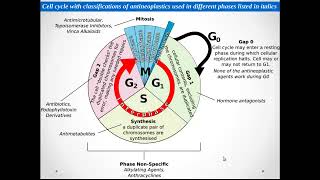 ANTI CANCER PHARMACOLOGY [upl. by Krisha]