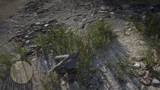 Red Dead Redemption 2  Common bulrush [upl. by Libby]