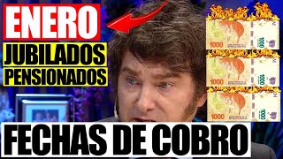 💸Enero “85 de Aumento” Bonos y Fecha de Cobro para Jubilados Pensionados PNC y PUAM de ANSES 2024 [upl. by Jannel]