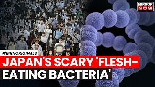 Japan News  Japan Reports Sharp Spike In FleshEating Bacteria Infection That Kills Within 48 Hours [upl. by Ellenij]