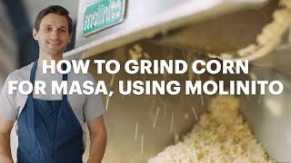 How to grind corn nixtamal into masa using Molinito  From Kernel to Masa Ep 5 [upl. by Mollee]