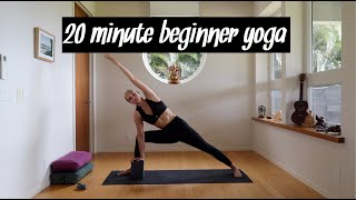 20 Minute Beginner Home Yoga Sequence [upl. by Koetke]