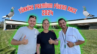 2024 Türkiye Premium Pigeon Race Final Yarışı [upl. by Schnapp973]