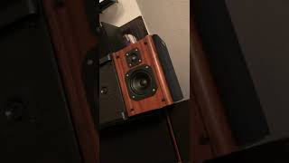 Radiotehnika S30 Speakers at Nobsound NS01G Amplifier [upl. by Anisamot]