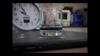 Time Lapse of Polyaniline Synthesis [upl. by Hake]