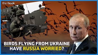 Doom Tech  Why Putin is scared of birds USAs pigeonguided missile experiment bioweapon claims [upl. by Hadnama]