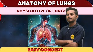 Human Lungs  Human Lungs In Hindi  Introduction Of Lungs  Anatomy Of Lungs  Physiology of Lungs [upl. by Uriiah28]