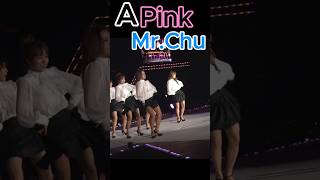 에이핑크APink 미스터츄MrChu LIVE in Vietnam 화질사운드비쥬얼 OK Video quality amp Sound recmmendableエーピンク [upl. by Aicile]