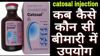 Catosal injection uses in hindi कटसल इंजेक्शन का उपयोग [upl. by Ilhsa701]