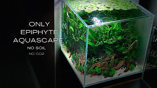 AQUASCAPE WITHOUT SOIL  STEP BY STEP SETUP  AQUASCAPING TUTORIAL [upl. by Amby]