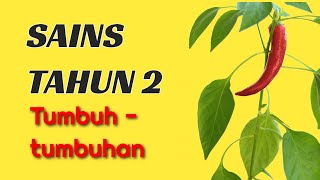 KEPENTINGAN TUMBUH TUMBUHAN SAINS TAHUN 2 [upl. by Rhoades]