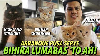 MGA BAGONG ALOK NG ARRANQUE PET MARKET BAGSAK PRESYO  PUSA SERYE  APRIL 18 2024 [upl. by Ancilin138]