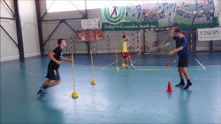 Handball pass and coordination [upl. by Nnylesor]