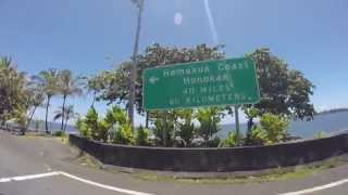 Drive from Hilo to Honomu amp The Gateway to Akaka Falls amp The SilverBotanica Store [upl. by Jade]