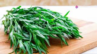 Tarragon Tidbits 5 Crazy Facts herbs garden [upl. by Halvaard]