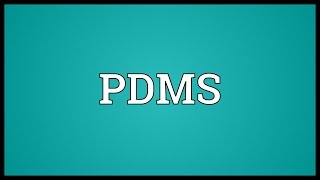 PDMS Meaning [upl. by Achilles]