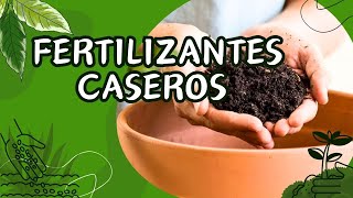 FERTILIZANTES CASEROS Como prepararlos y aplicarlos para tener plantas más hermosas [upl. by Laup515]