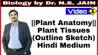 Plant Tissues Outline Sketch Plant Anatomy  Hindi Medium [upl. by Aylad73]