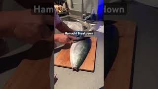 Mastering Hamachi in 5 Minutes The Ultimate Guide [upl. by Savage]