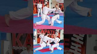 bunkai Kata Junro karate piatsko martialarts 空手 空手道 zuki reverse sensei shotokan profi [upl. by Rotkiv]