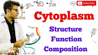 Cytoplasm  Structure  Composition  Function [upl. by Bohaty]