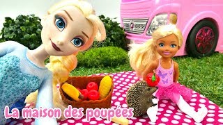 Poupées Elsa et Evi à la piquenique Vidéo pour enfants [upl. by Jecho302]