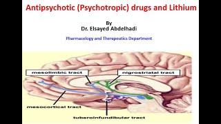 Antipsychotic Psychotropic drugs and Lithium by Dr Elsayed Abdelhadi [upl. by Anned]