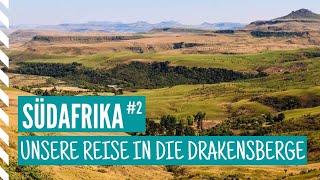 Südafrika Rundreise  Ankunft in der Amphitheatre Backpackers Lodge in den Drakensbergen [upl. by Brinna]