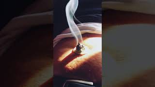 Gastrointestinal problemmoxibustion gastrointestinal asmr moxibustion [upl. by Arette]