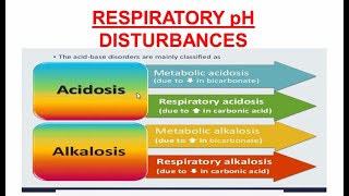 Respiratory Acidosis and Alkalosis  Respiratory pH Disturbances [upl. by Ernestus]