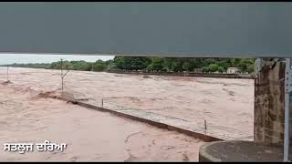 Satluj Flood  Ropar  Nagal Dam  Bhakra Dam  Punjab Flood [upl. by Dustin]