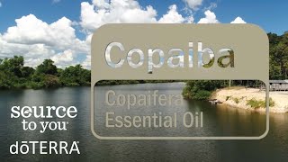 doTERRA Copaiba Essential Oil [upl. by Ahsaelat]