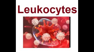 Leukocytes structure and functions  2024 [upl. by Eikcim]