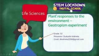 Grade 12  Life Science  Geotropism Experiment [upl. by Sherris432]