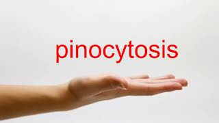 How to Pronounce pinocytosis  American English [upl. by Oira]