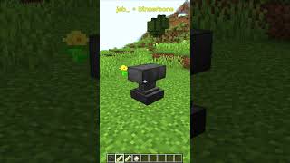 jeb  dinnerbone shorts short shortvideo shortsvideo minecraft umeshkrishnia jeb dinnerbone [upl. by Ennahteb]