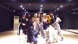 HWASA  Twit dance practice mirrored [upl. by Eenalem]