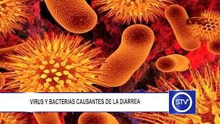 VIRUS Y BACTERIAS CAUSANTES DE LA DIARREA [upl. by Shirberg]