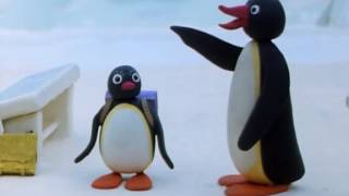 Pingu S02e02 Pingus Admirer [upl. by Cynera]