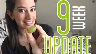 9 Week Pregnancy Update [upl. by Cronin658]