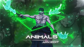 One piece quotzoroquot king of hell  animals  EditAMV [upl. by Anilag936]