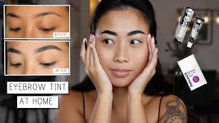 Eyebrow Tinting At Home  Easy amp Cheap [upl. by Albert447]