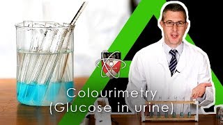 Colourimetry testing for glucose in urine  Biology Alevel Required Practical [upl. by Matusow]