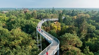 Baumkronenpfad Baum amp Zeit in BeelitzHeilstätten [upl. by Artamas489]