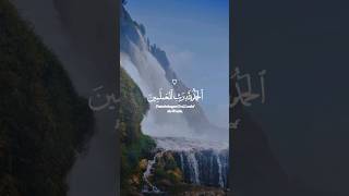 تلاوة تنسيك 🤍 هموم الدنيا  قرآن كريم لتهدئة النفوس ❤️🎧 سورة الفاتحة القارئ عبدالله علي قرآن quran [upl. by Iaka646]