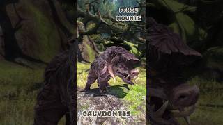 FFXIV Mounts Calydontis [upl. by Enaed]