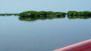 4 Codrington Lagoon Frigate Bird Sanctuary in Antigua Barbuda [upl. by Aubrette]