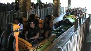 Cheetah Hunt at Busch Gardens Tampa [upl. by Adnohsal]